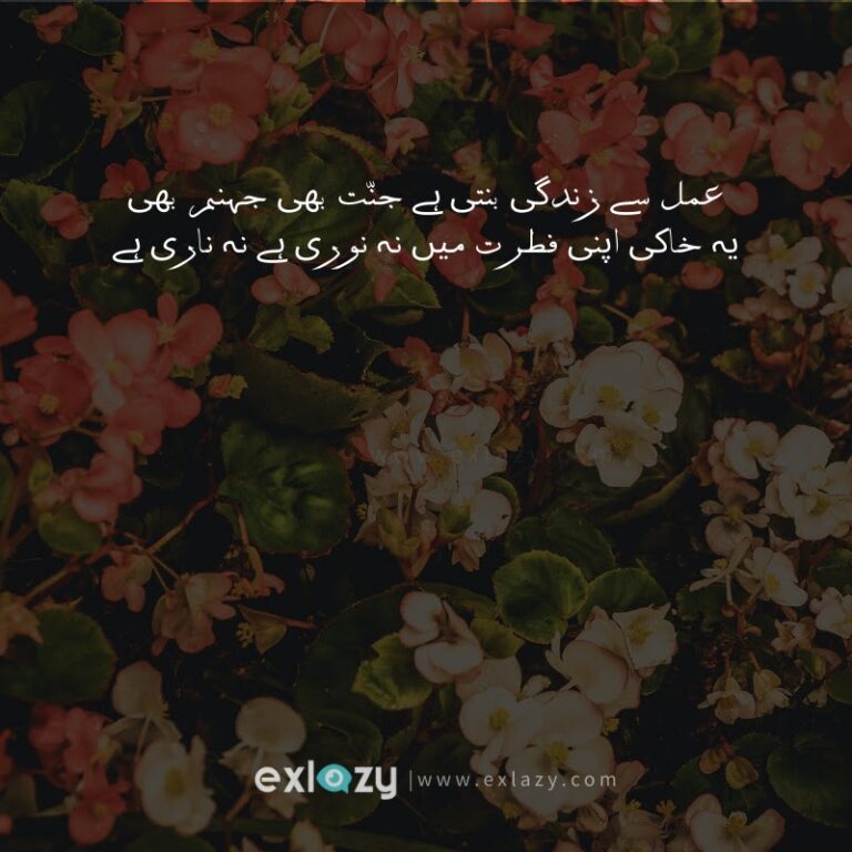Top 10 Allama Iqbal Poetry 2 Lines in Urdu – Shayari in Urdu