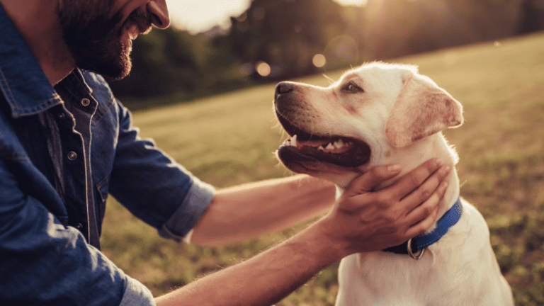 hypoallergenic dog food uk
